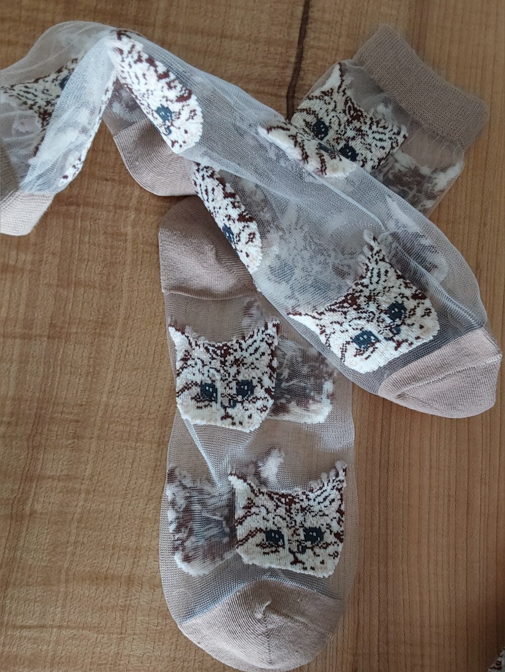 CAT PATTERN EMBROIDERED SHEER 3D BEIGE SOCKS O/S